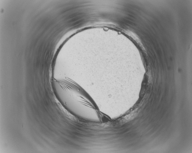 X0000061731420200512302134