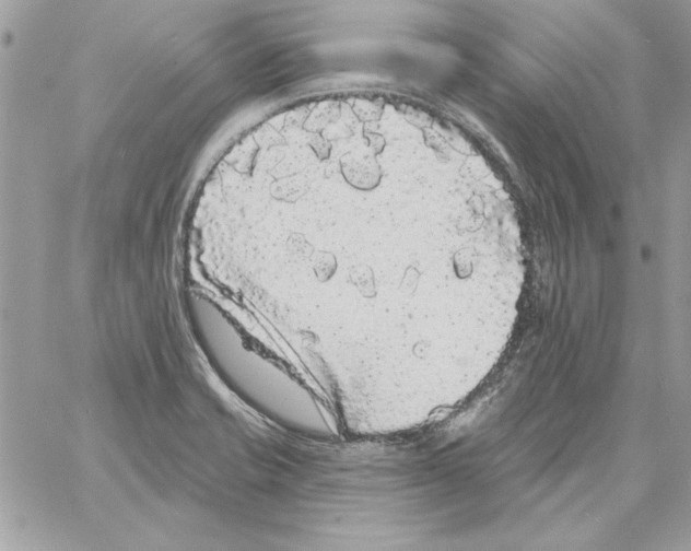 X0000061731421200512302134