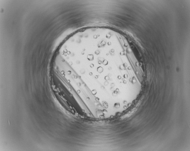 X0000061731422200512302134