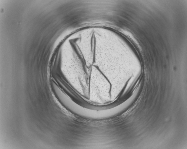 X0000061731424200512302134