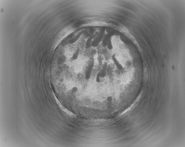 X0000061731425200512302134