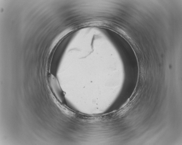 X0000061731426200512302134