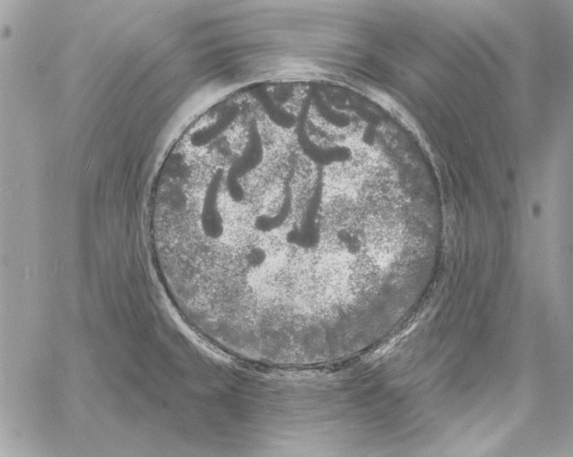 X0000061731429200512302134