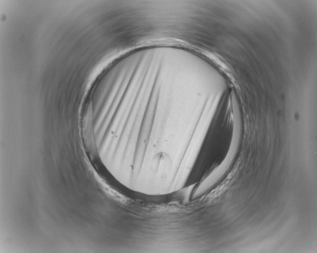 X0000061731430200512302134