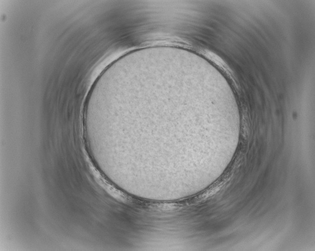 X0000061731431200512302134