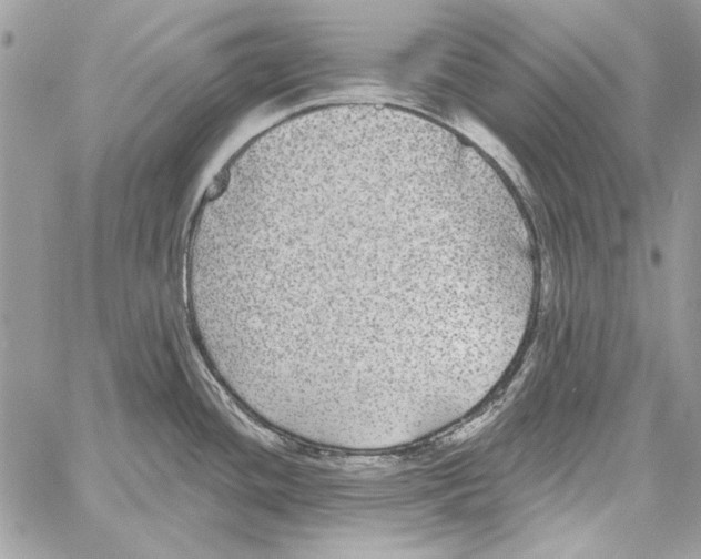 X0000061731436200512302134