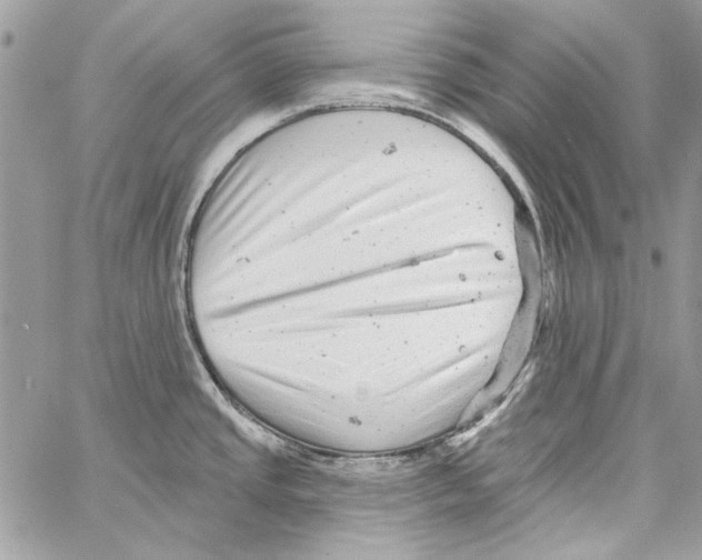 X0000061731437200512302134