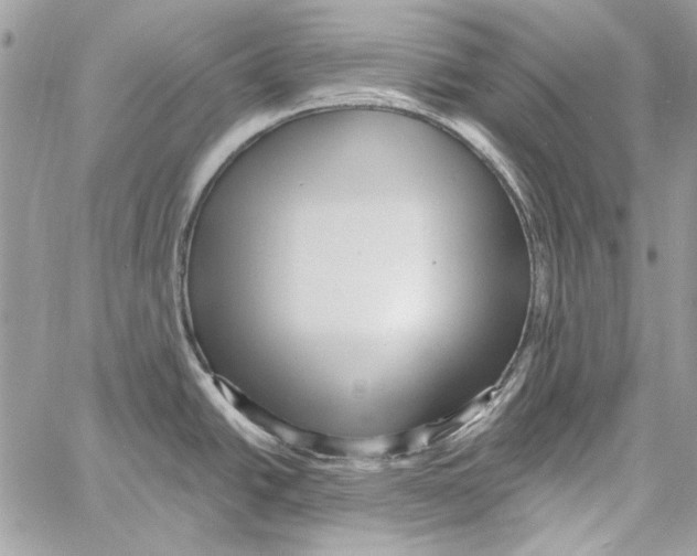 X0000061731438200512302134