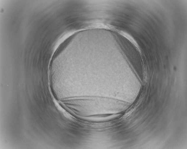 X0000061731439200512302134