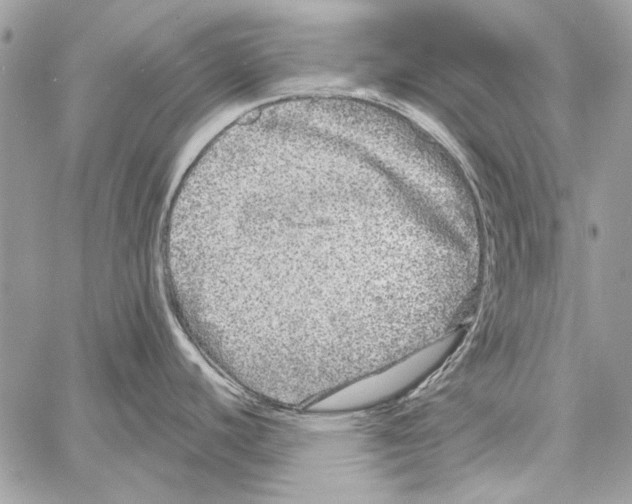 X0000061731440200512302134