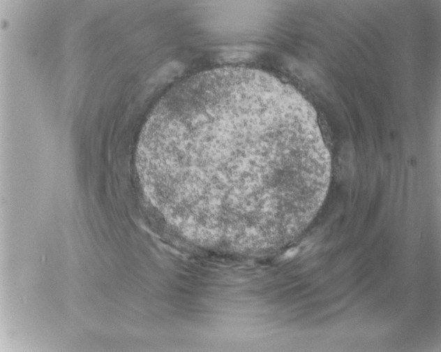 X0000061731441200512302133