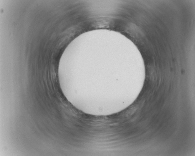 X0000061731442200512302133