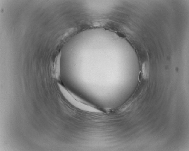 X0000061731443200512302133