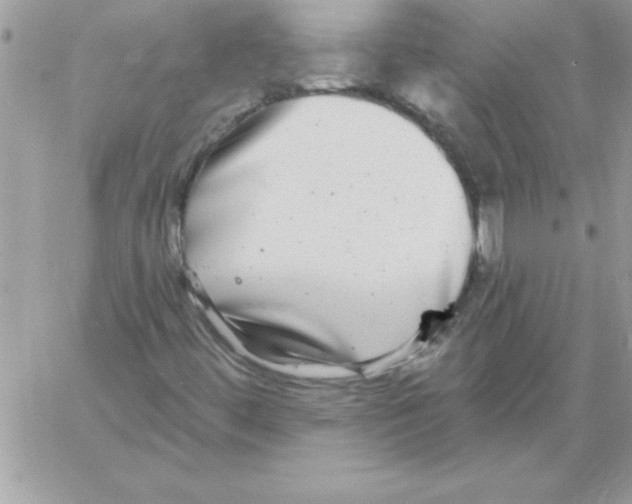 X0000061731444200512302133