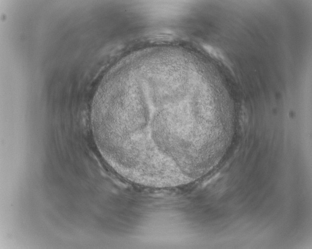 X0000061731445200512302133