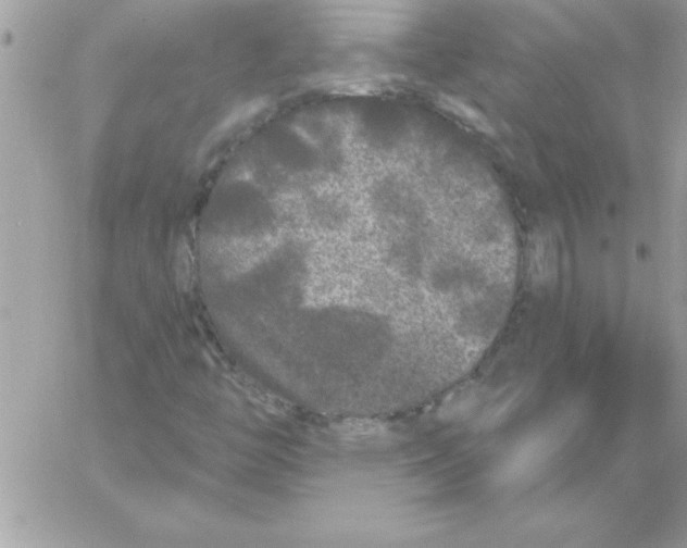 X0000061731446200512302133