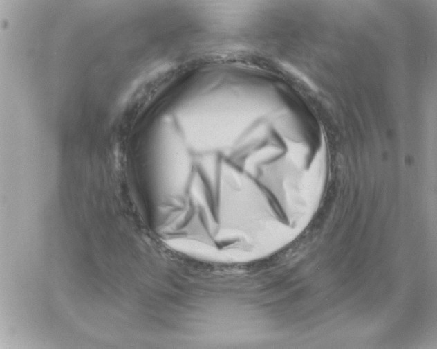 X0000061731447200512302133