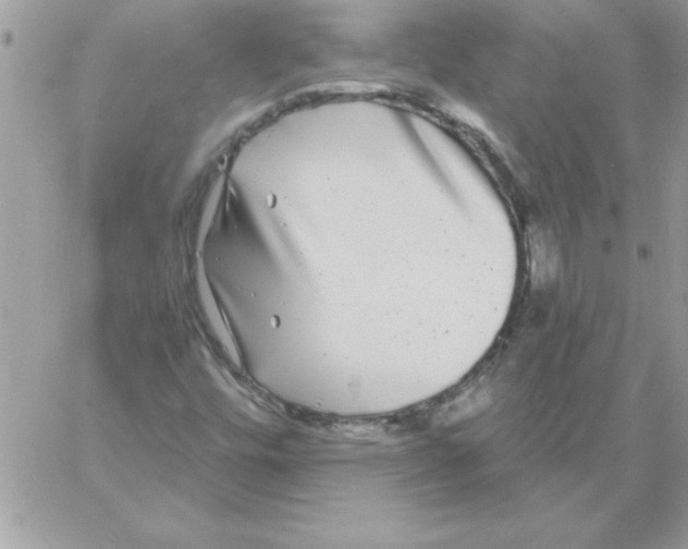 X0000061731448200512302133