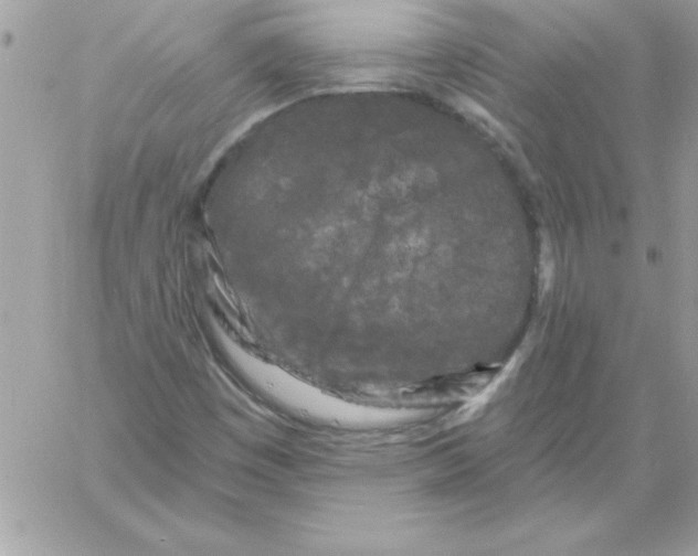 X0000061731449200512302133