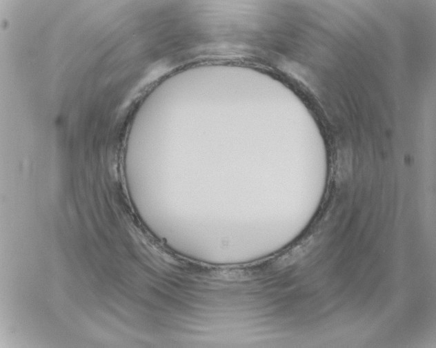 X0000061731451200512302133