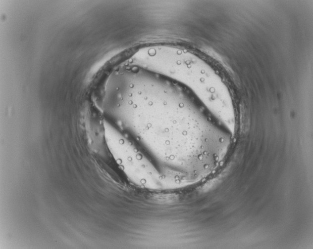 X0000061731453200512302133