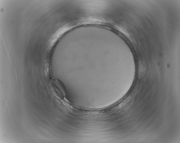 X0000061731455200512302133