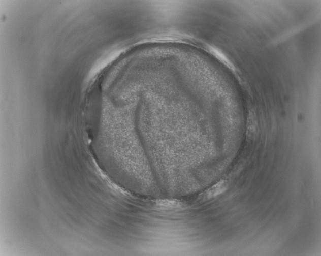 X0000061731456200512302133