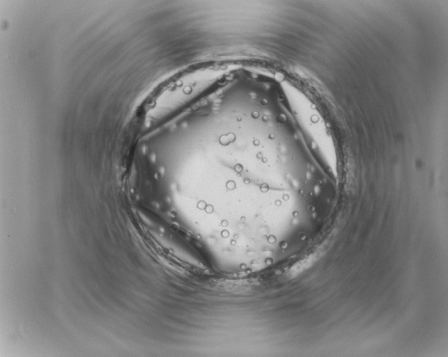 X0000061731457200512302133