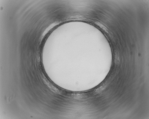 X0000061731458200512302133