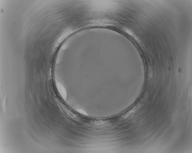 X0000061731459200512302133