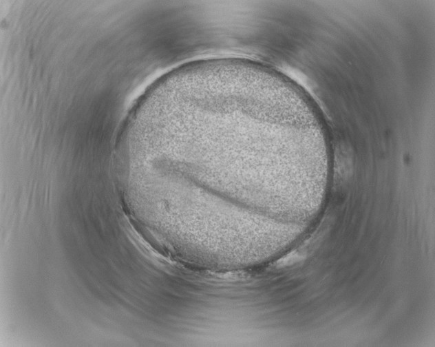 X0000061731460200512302133