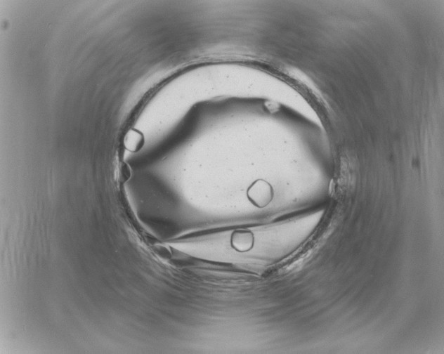 X0000061731461200512302133