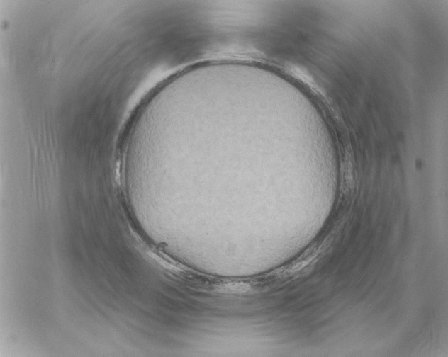 X0000061731462200512302133