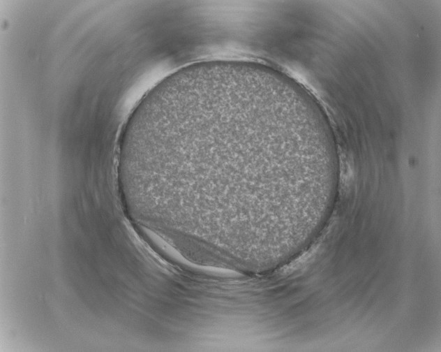 X0000061731463200512302133