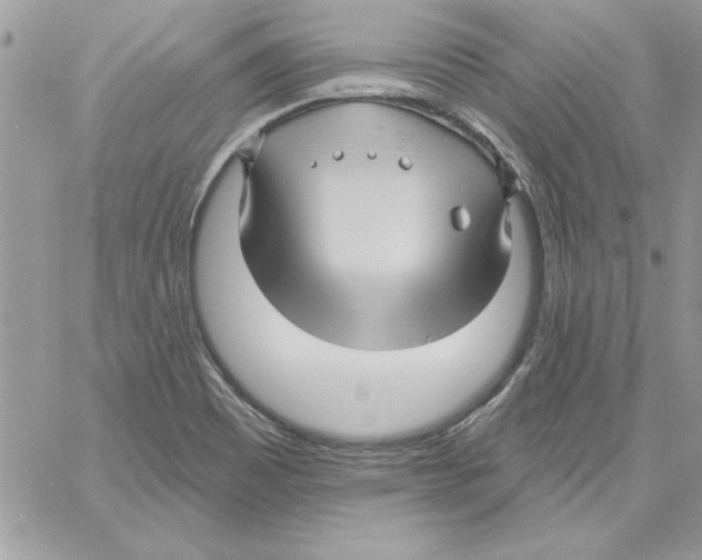 X0000061731465200512302133