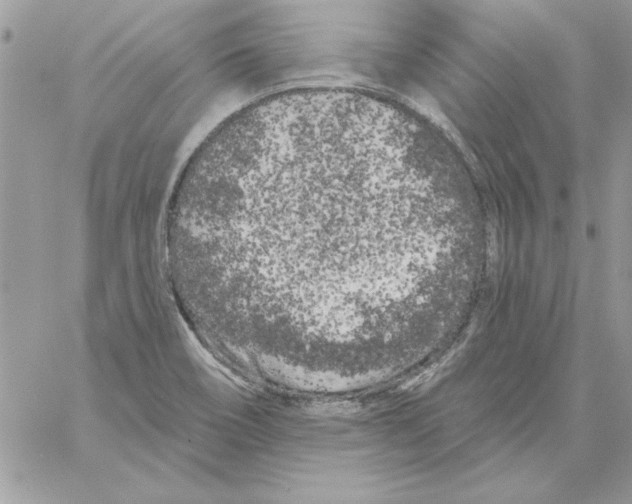 X0000061731466200512302133