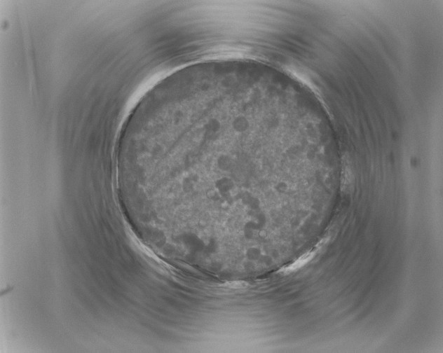 X0000061731467200512302133