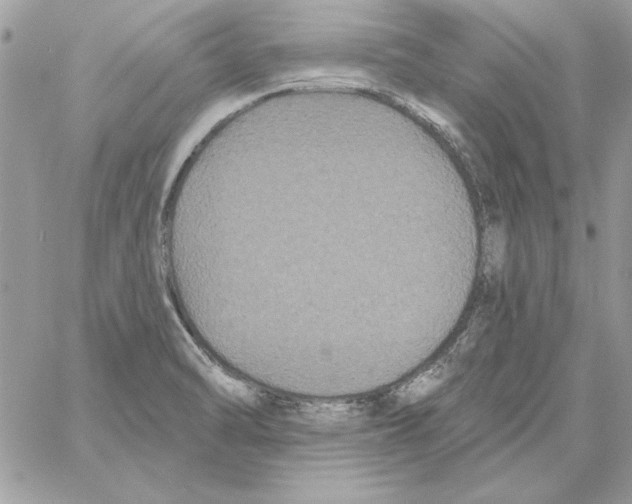 X0000061731470200512302133