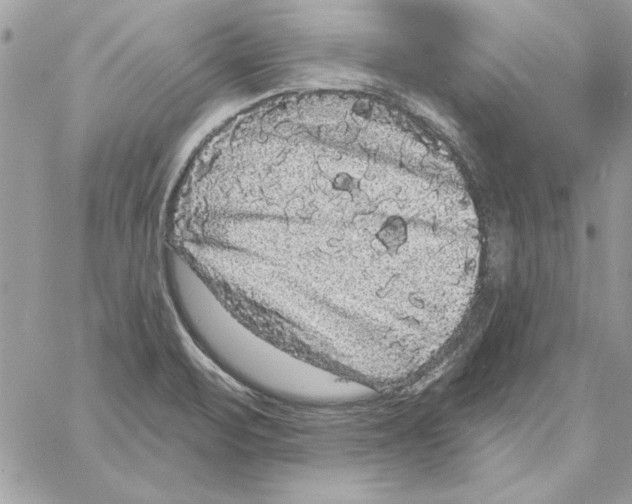 X0000061731471200512302133