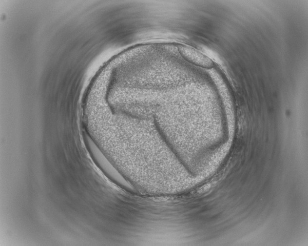 X0000061731472200512302133