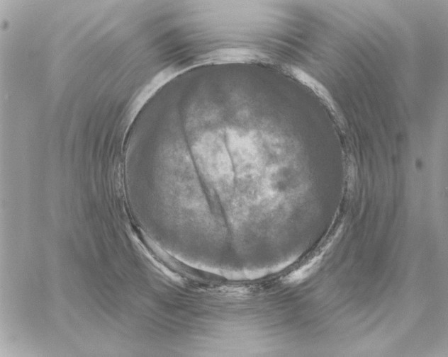 X0000061731473200512302133