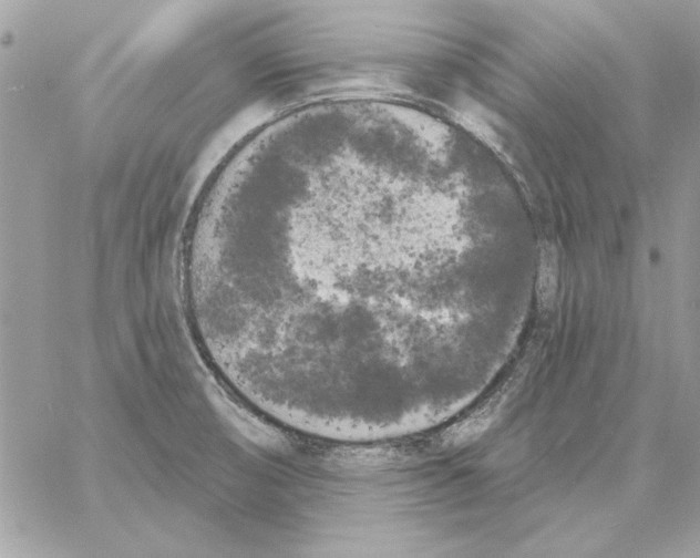 X0000061731474200512302133