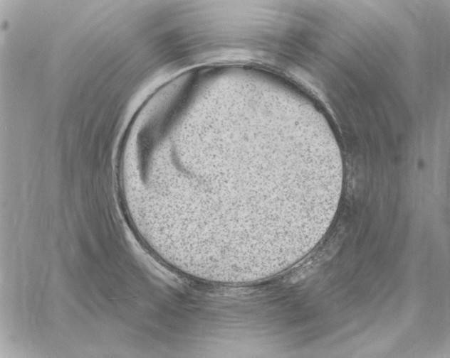 X0000061731475200512302133