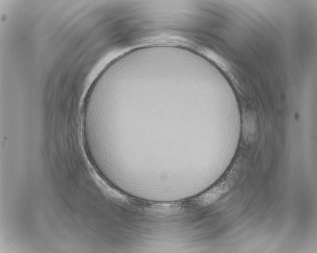 X0000061731478200512302133