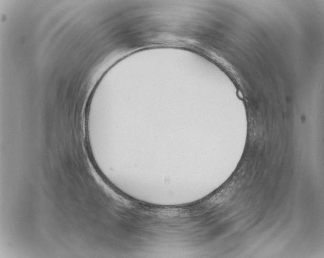 X0000061731479200512302133