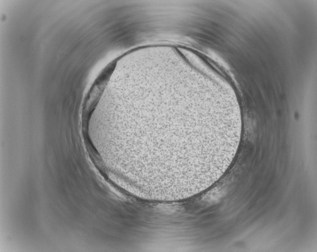 X0000061731480200512302133