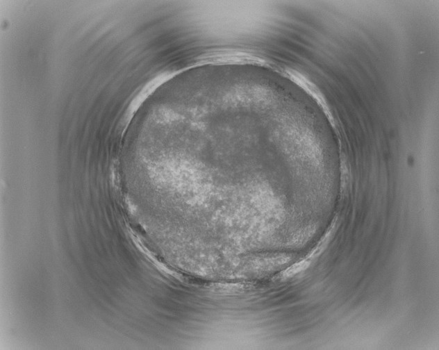 X0000061731481200512302133