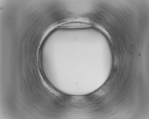 X0000061731483200512302133