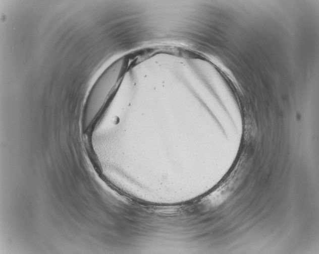 X0000061731484200512302133