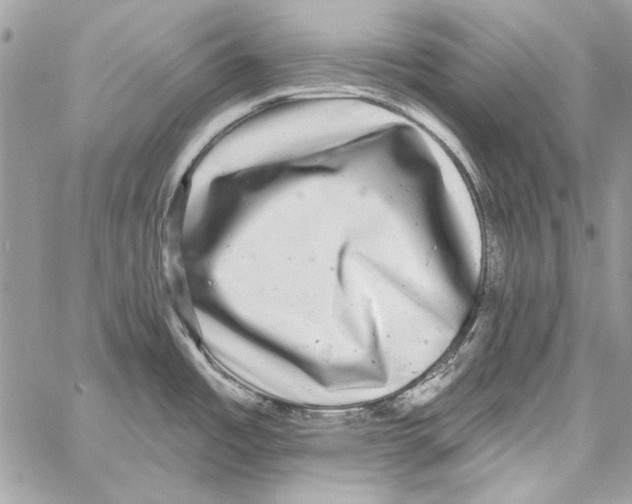 X0000061731485200512302133